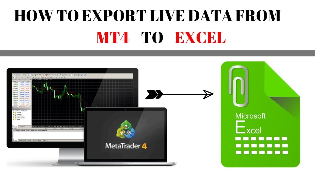 export thinkorswim data to excel